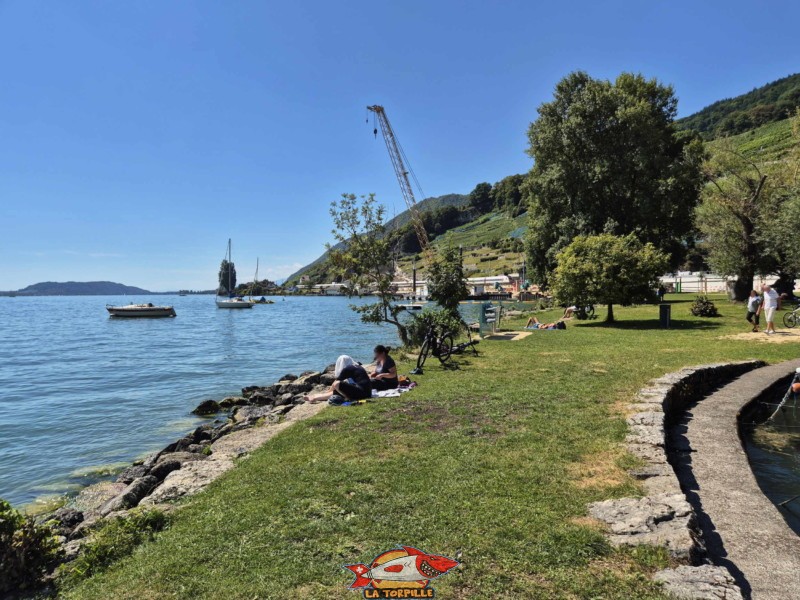 La plage de Chlyne Twann.