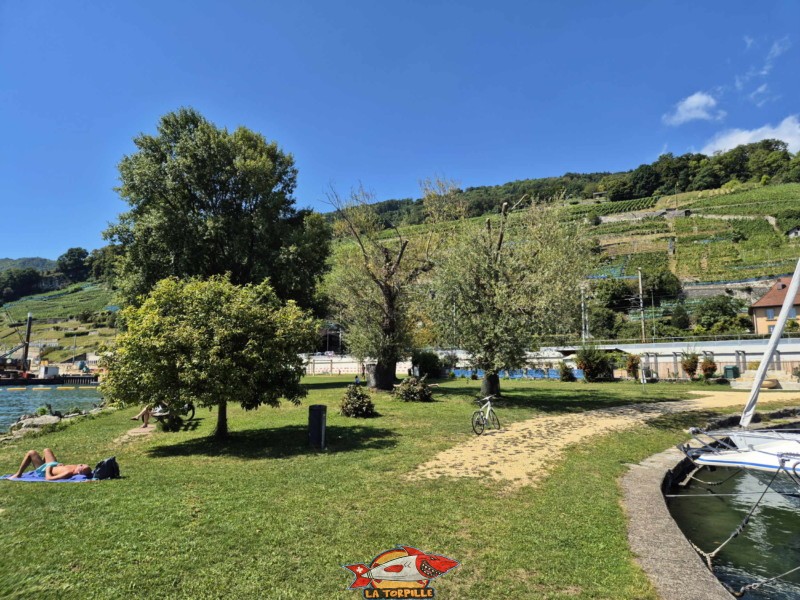 Pelouse, côté est. Plage de Chlyne Twann, lac de Bienne, Gléresse, Lygerz.