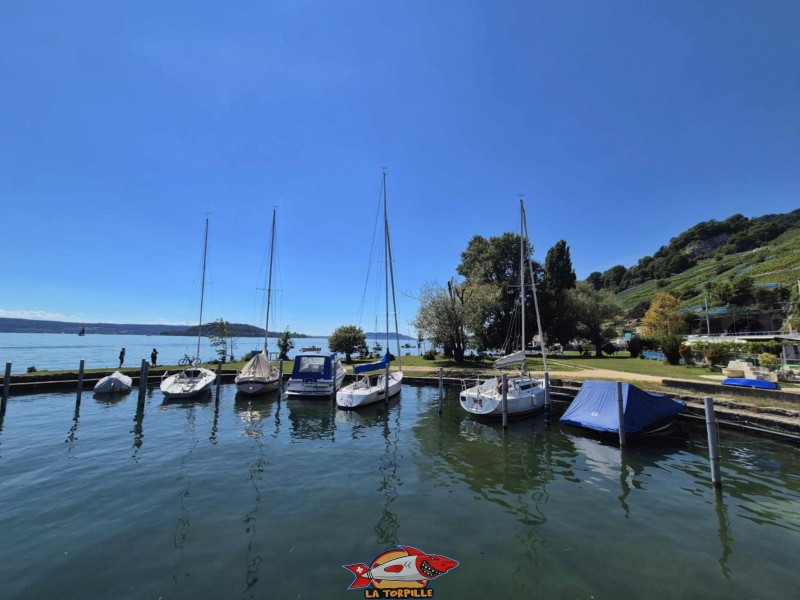 Le port de Chlyne Twann se trouve à l'extrémité est de la plage. Plage de Chlyne Twann, lac de Bienne, Gléresse, Lygerz.