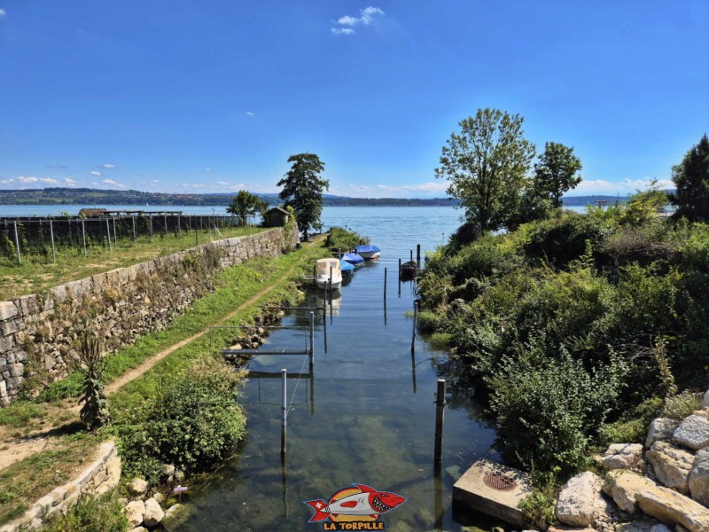La Douanne se jette dans le lac de Bienne.