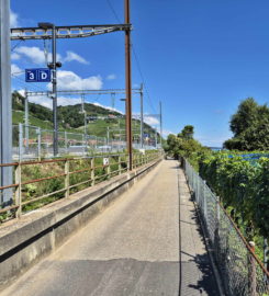 ⛰️ Gorges de Douanne