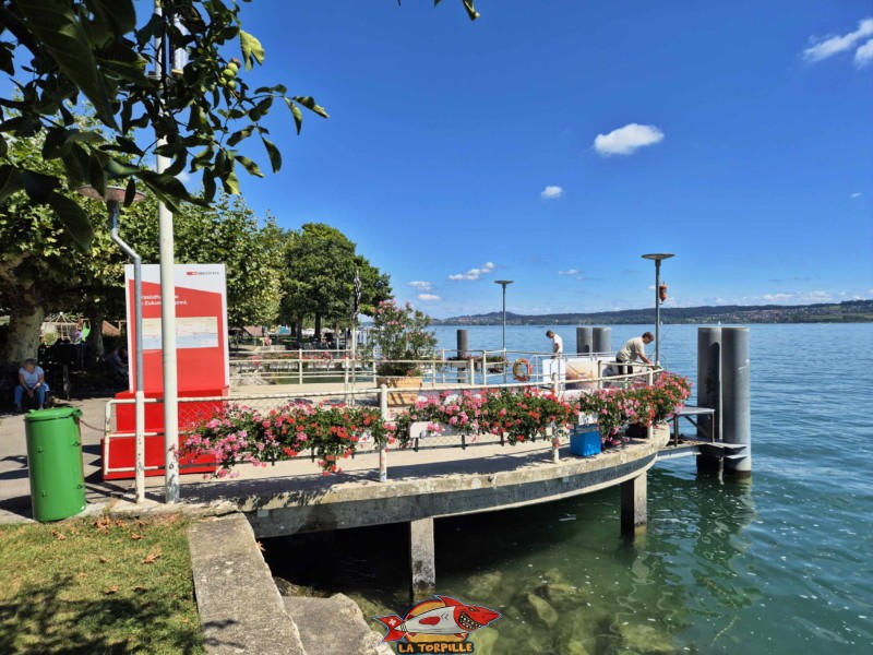 Débarcadère de Douanne