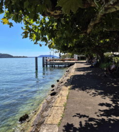 🛳️ Débarcadère de Douanne (Twann)