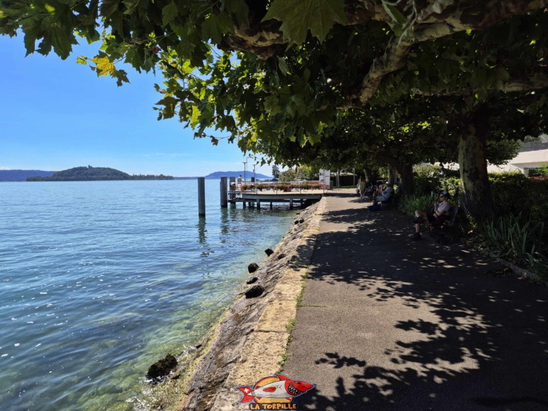 débarcadère de Douanne depuis le rivage. Commune de Douanne-Daucher, Twann-Tüscher., lac de Bienne.