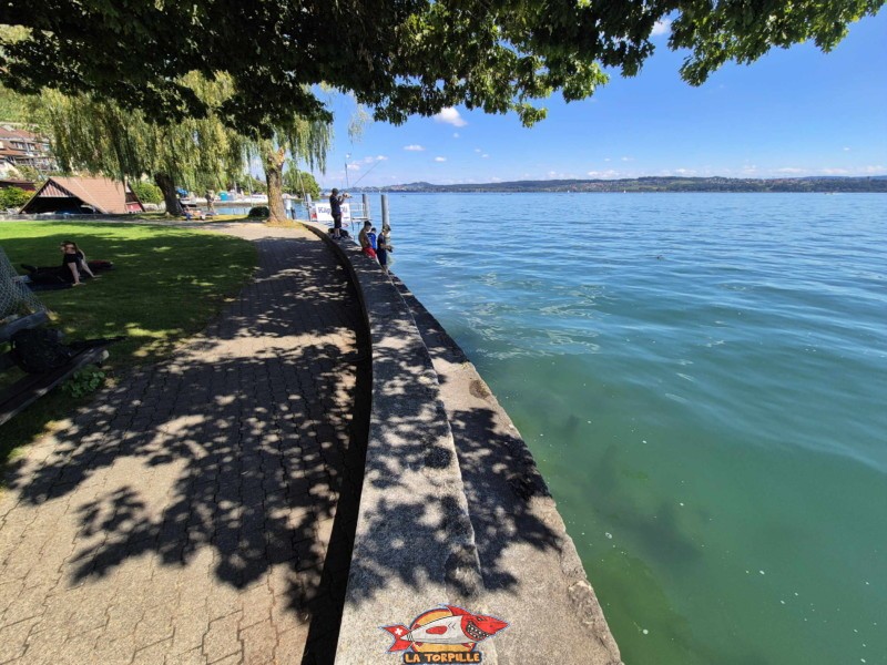 Le bord du lac du parc du débarcadère de Douanne. Un parc avec une grande pelouse et une place de jeux se trouve juste à côté du débarcadère de Douanne. Le bord du lac du parc du débarcadère de Douanne. Un parc avec une grande pelouse et une place de jeux se trouve juste à côté du débarcadère de Douanne. Commune de Douanne-Daucher, Twann-Tüscher., lac de Bienne.