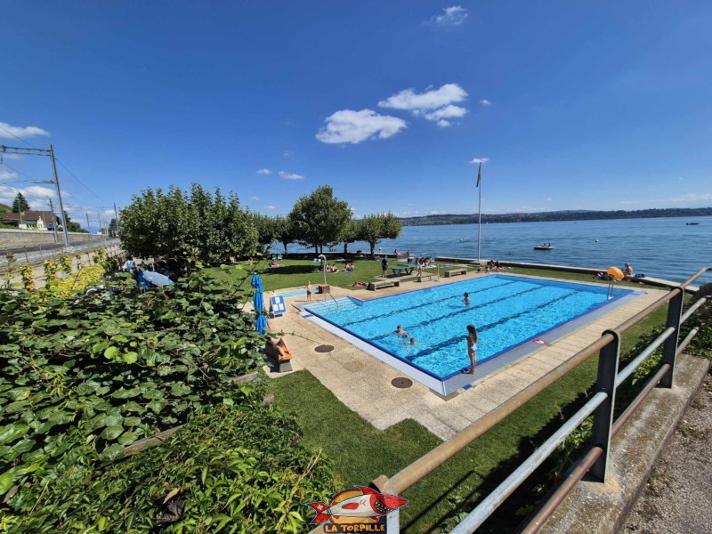 La piscine longue de 18 mètres et la pataugeoire.