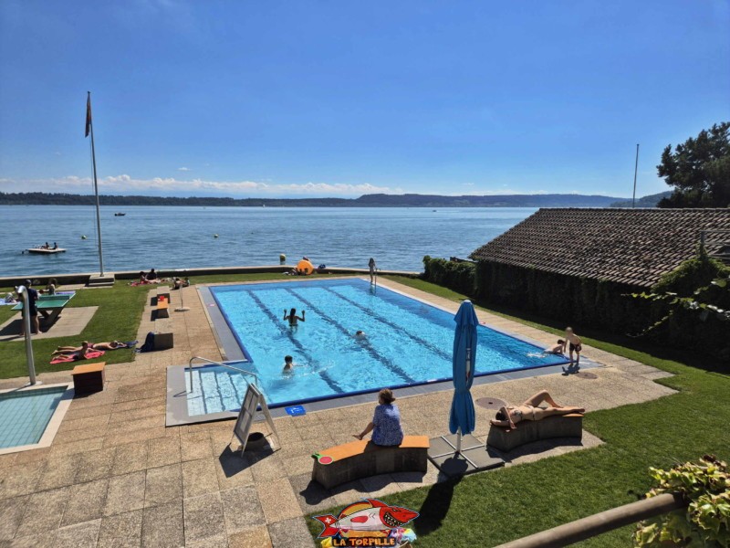 La piscine longue de 18 mètres et la pataugeoire.