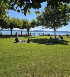 🏊🏖️ Plage et Piscine Extérieure de Douanne