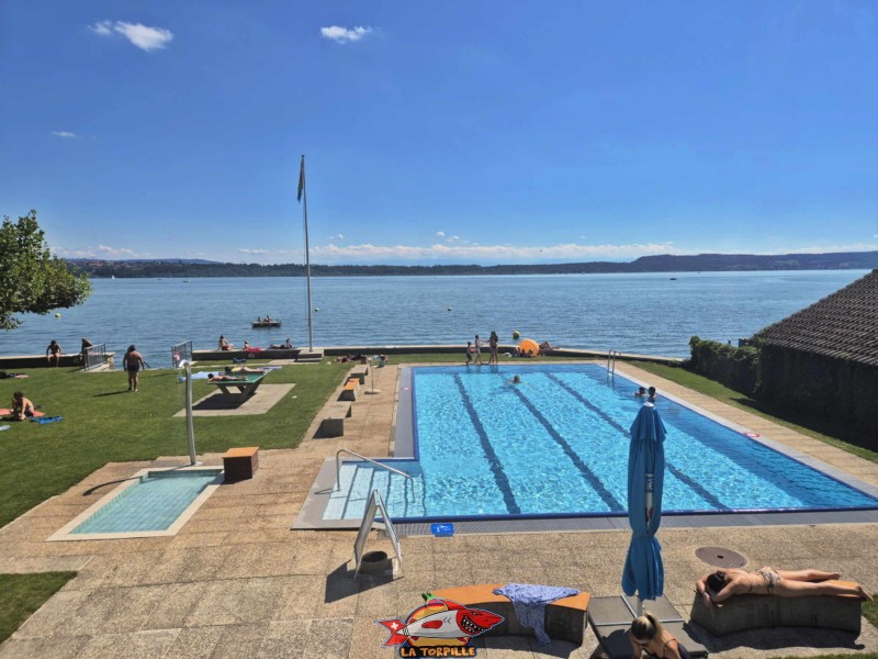 La piscine longue de 18 mètres et la pataugeoire.