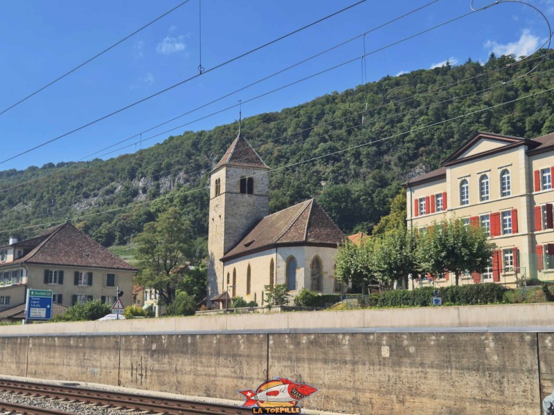 L'église de Douanne depuis le sentier des rives du lac de Bienne. Commune de Douanne-Daucher, Twann-Tüscher., lac de Bienne. L'église de Douanne depuis le sentier des rives du lac de Bienne. Commune de Douanne-Daucher, Twann-Tüscher., lac de Bienne.