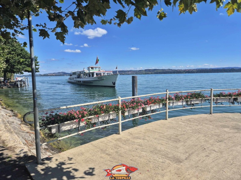 débarcadère de Douanne depuis le rivage. Commune de Douanne-Daucher, Twann-Tüscher., lac de Bienne.