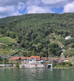 ⛰️ Gorges de Douanne