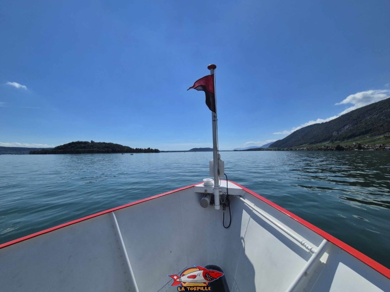 L'île St-Pierre depuis le bateau de la compagnie de navigation BSG (Bielersee Schifffahrt).