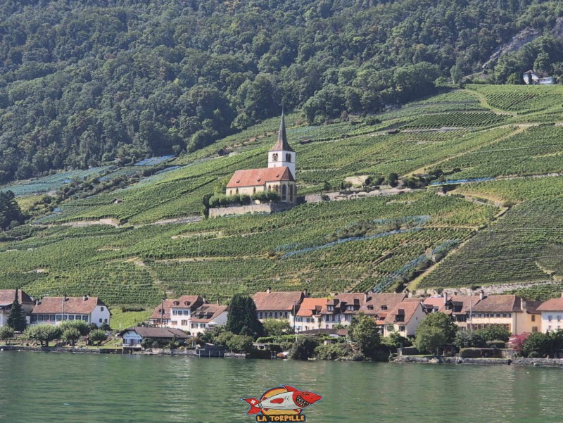 La magnifique église de Gléresse et le village au bord du lac.