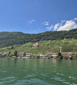 🛳️ Débarcadère de Gléresse (Ligerz)