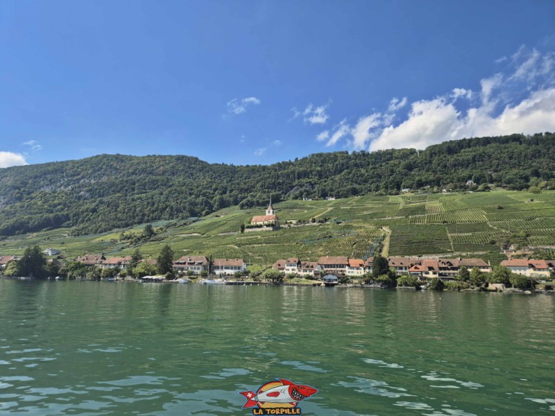 photo du village de Gléresse avec sa magnifique église au milieu du vignoble.