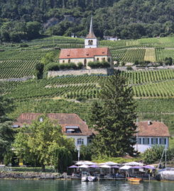 🛳️ Débarcadère de Gléresse (Ligerz)