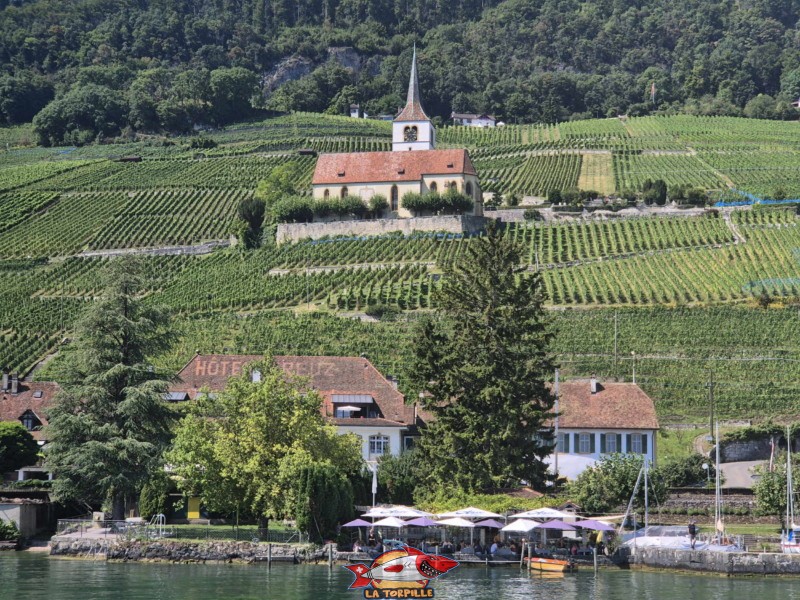 photo du village de Gléresse avec sa magnifique église au milieu du vignoble.
