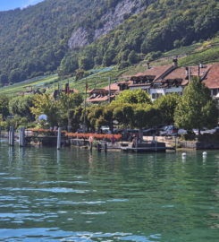 🛳️ Débarcadère de Gléresse (Ligerz)