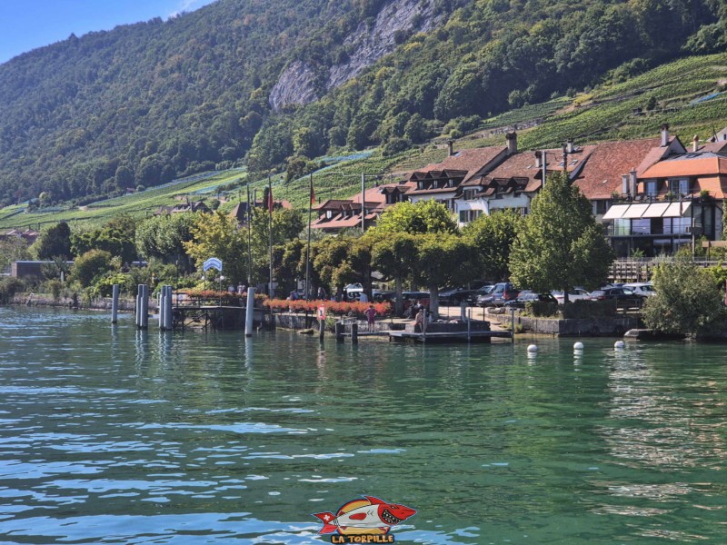 photo du débarcadère de Gléresse depuis le lac.