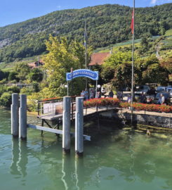 🛳️ Débarcadère de Gléresse (Ligerz)