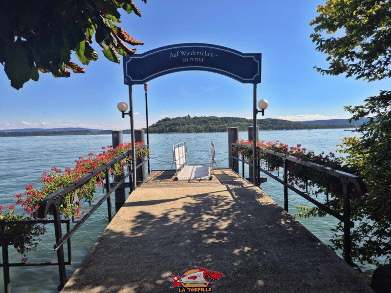 L'île St-Pierre dans l'alignement du débarcadère de Gléresse (Ligerz).