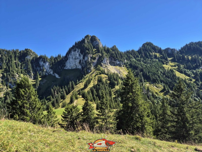 La Dent de Vounetz. Partie supérieure.