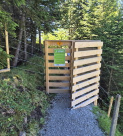 🖐️ Sentier des Toboggans – Charmey