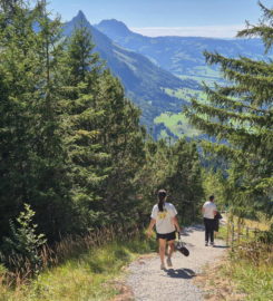 🖐️ Sentier des Toboggans – Charmey