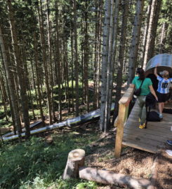 🖐️ Sentier des Toboggans – Charmey