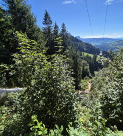 🖐️ Sentier des Toboggans – Charmey