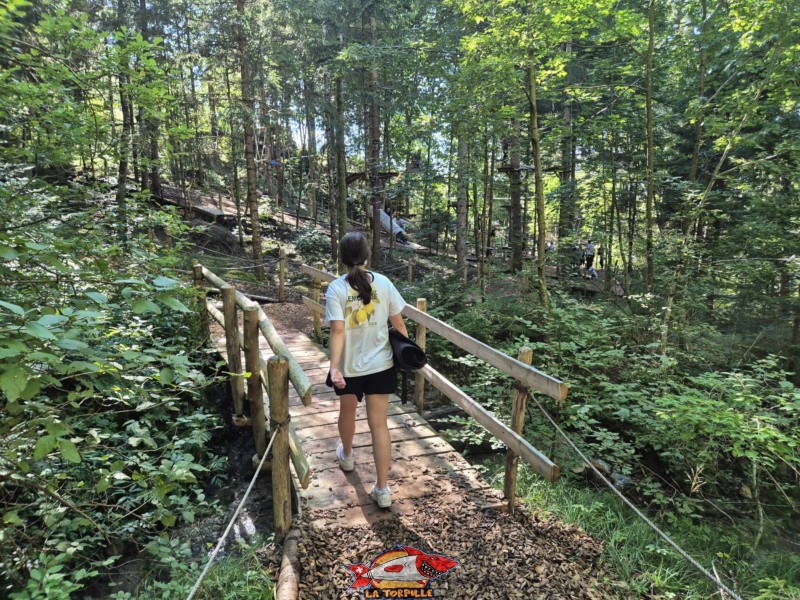 Le passage par l'accrobranche de Charmey après le dernier toboggan.