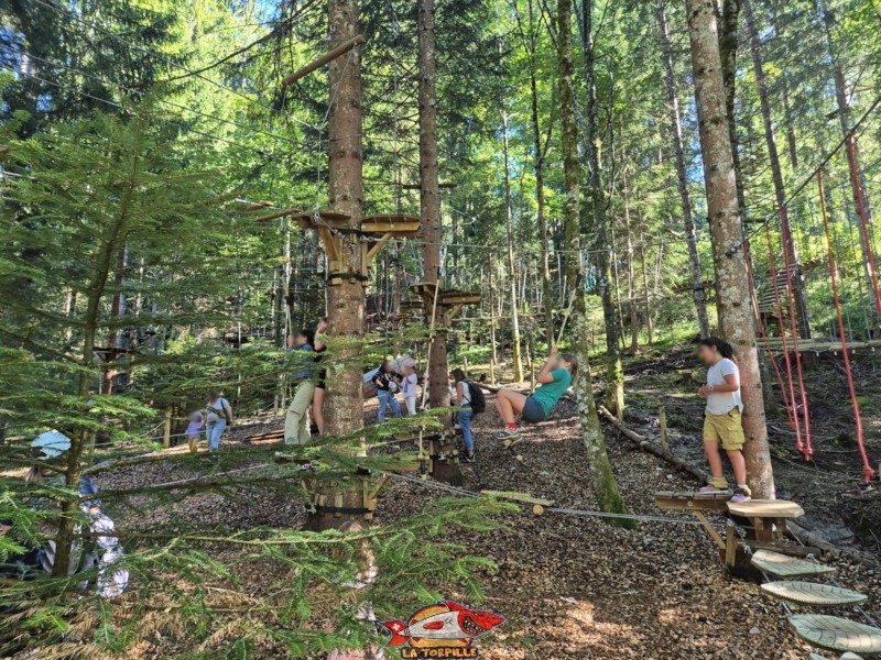 Le passage par l'accrobranche de Charmey après le dernier toboggan.