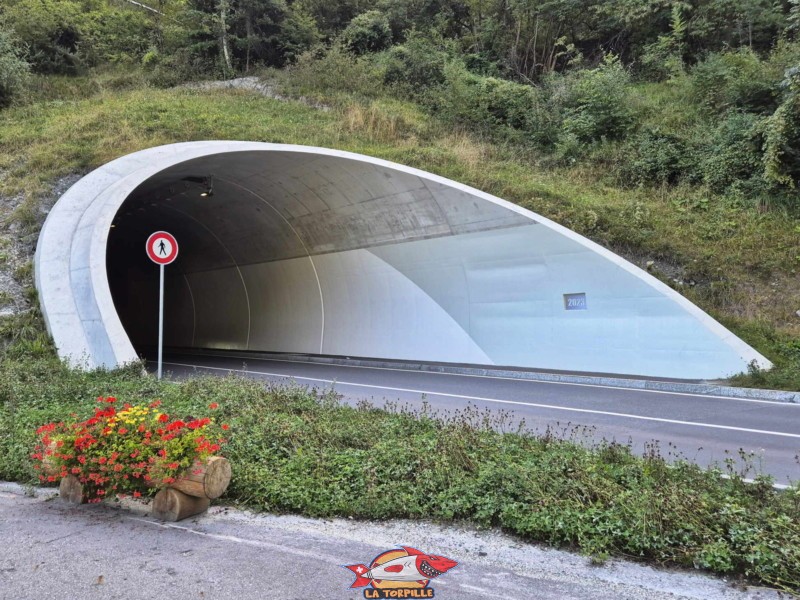 Nouveau Tunnel - Ouest. Pyramides d'Euseigne, Hérémence, Val d'Hérens, Valais.