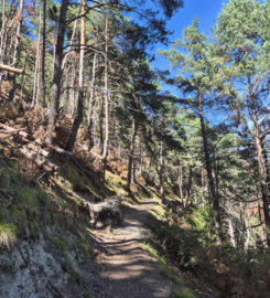 ⛰️ Gorges de la Borgne – Val d’Hérens