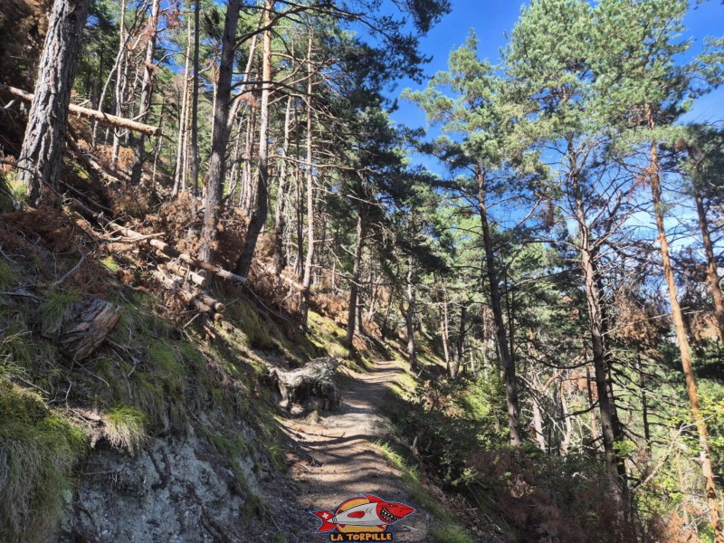  Descente Rive gauche. Gorges de la Borgne - Val d'Hérens