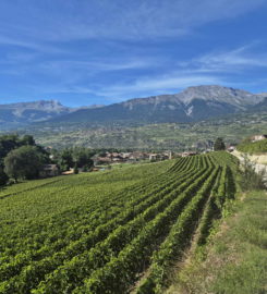 ⛰️ Gorges de la Borgne – Val d’Hérens