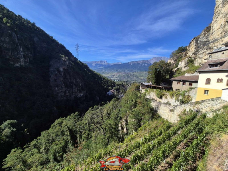 Vu sur les gorges de la Borgne depuis l'esplanade de l'ermitage de Longeborgne. Direction amont.