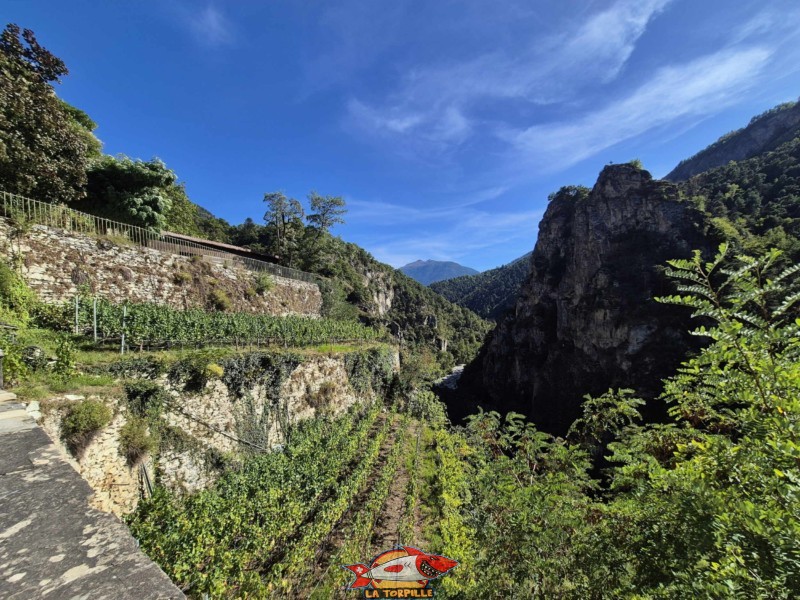 L'esplanade sur la gauche depuis l'escalier.