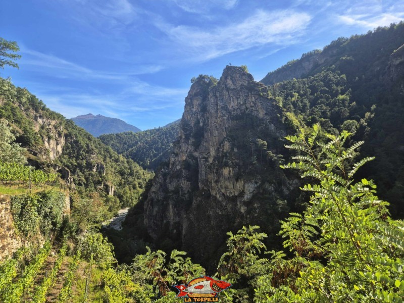 La vue, direction amont, sur les gorges de la Borgne. Gorges de la Borgne - Val d'Hérens La vue, direction amont, sur les gorges de la Borgne. Gorges de la Borgne - Val d'Hérens