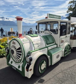 🚜 Train Touristique Lavaux Panoramic
