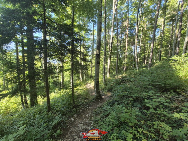 Le chemin de raccord qui permet de relier le bas de la montée du Gore Virat depuis le parking.