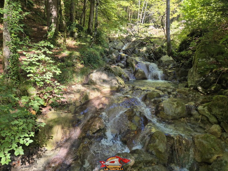 Le chemin de raccord qui permet de relier le bas de la montée du Gore Virat depuis le parking.