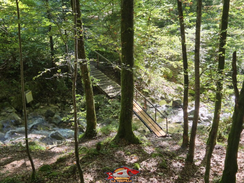 Le chemin de raccord qui permet de relier le bas de la montée du Gore Virat depuis le parking.