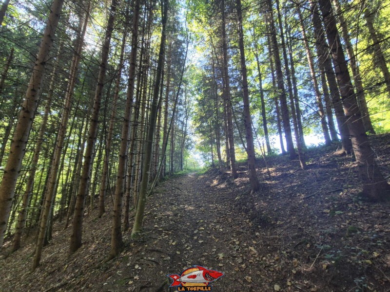 Le chemin de raccord qui permet de relier le bas de la montée du Gore Virat depuis le parking.