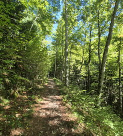 💧 Chutes du Gore Virat – Corcelles BE