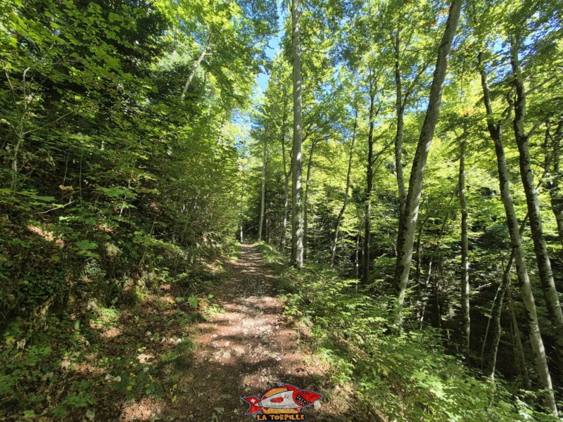  Montée inférieure, sentier du Gore Virat.
