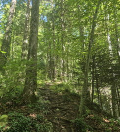 💧 Chutes du Gore Virat – Corcelles BE