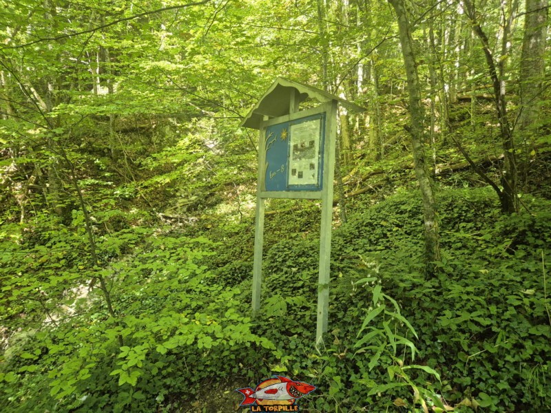 Plusieurs panneaux didactiques fournissent des informations sur la faune et la flore. Montée inférieure, sentier du Gore Virat.