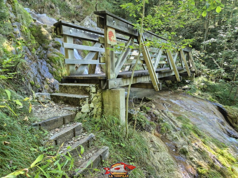 Passerelle 1, inférieure.